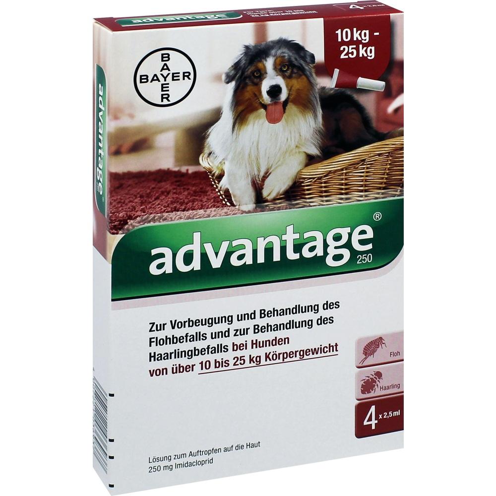 ADVANTAGE 250 Lösung f.Hunde 10-25 kg